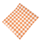 Orange checkered table cover picnic theme from Parte Haus party supply store in Bethesda MD