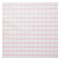 Pink gingham table cover with checkered pattern picnic theme from Parte Haus party supply store in Bethesda Maryland