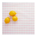 pink gingham table cover with yellow lemons summer picnic decor from Parte Haus party supply store in Bethesda MD