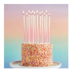 Pink tall birthday candles on sprinkle cake for birthday from Parte Haus party supply store in Bethesda MD