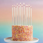 Silver birthday candles tall and slim on sprinkle cake for birthday celebration from Parte Haus party supply store in Bethesda MD