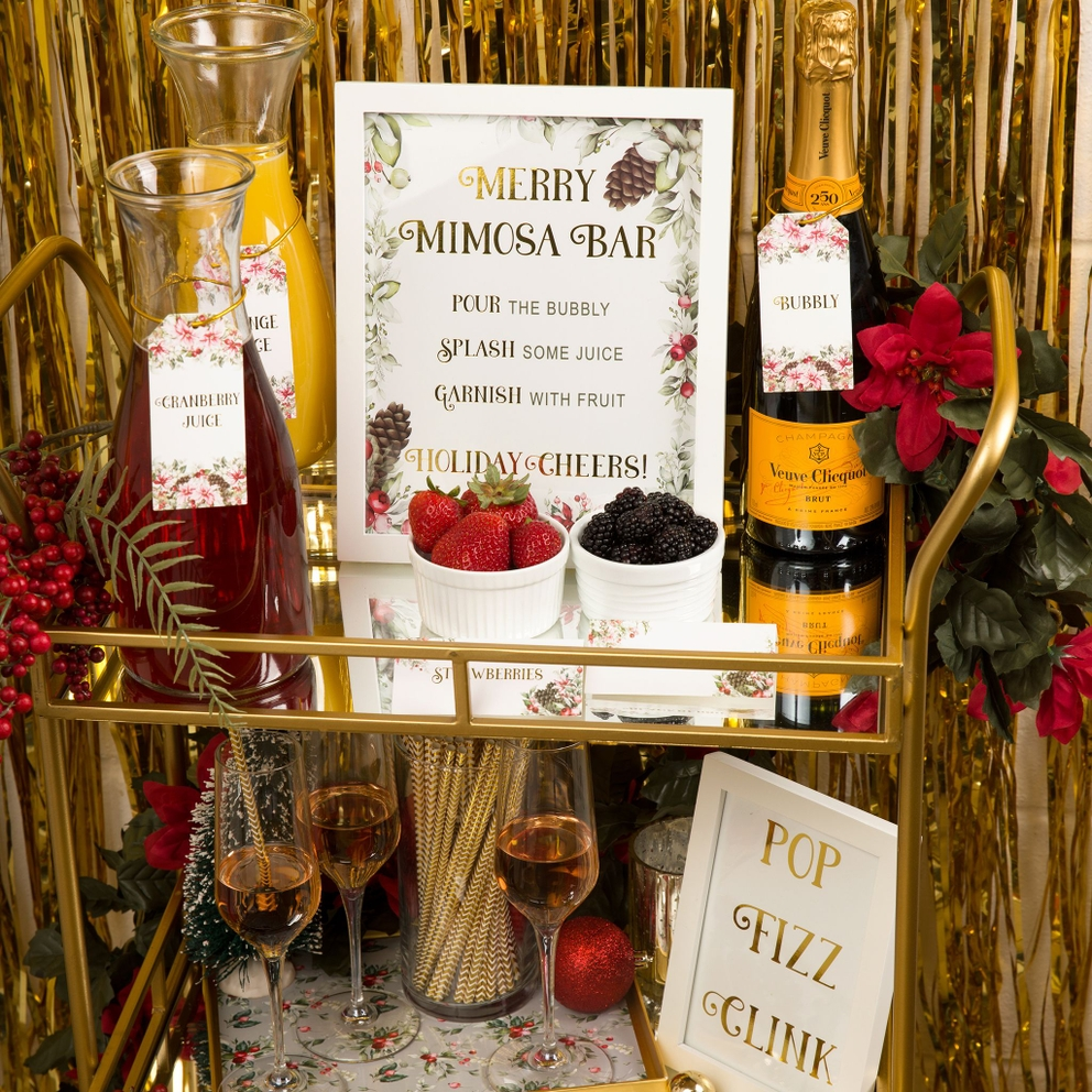 Gold and red holiday mimosa bar decoration kit with fruit holiday theme from Parte Haus party supply store in Bethesda MD