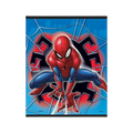 Blue red Spider-Man napkin with web and superhero graphic kids birthday from Parte Haus party supply store in Bethesda Maryland