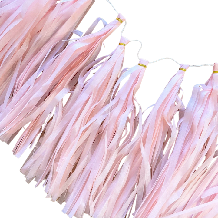 Pastel pink tassel garland hanging decor for birthday from Parte Haus party supply store in Bethesda Maryland