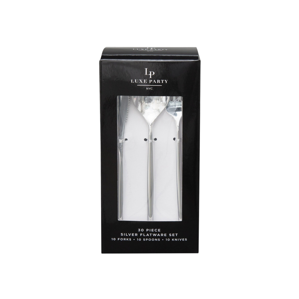 Silver flatware set in black box elegant tableware for celebrations from Parte Haus party supply store in Bethesda MD