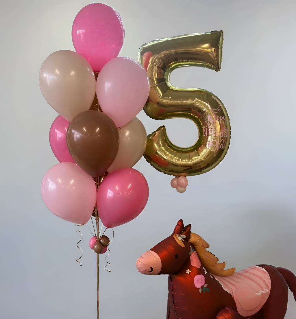 Magical Pony Dream Balloon Bundle
