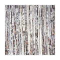 Silver metallic backdrop curtain with shiny fringe for celebration from Parte Haus party supply store in Bethesda MD.