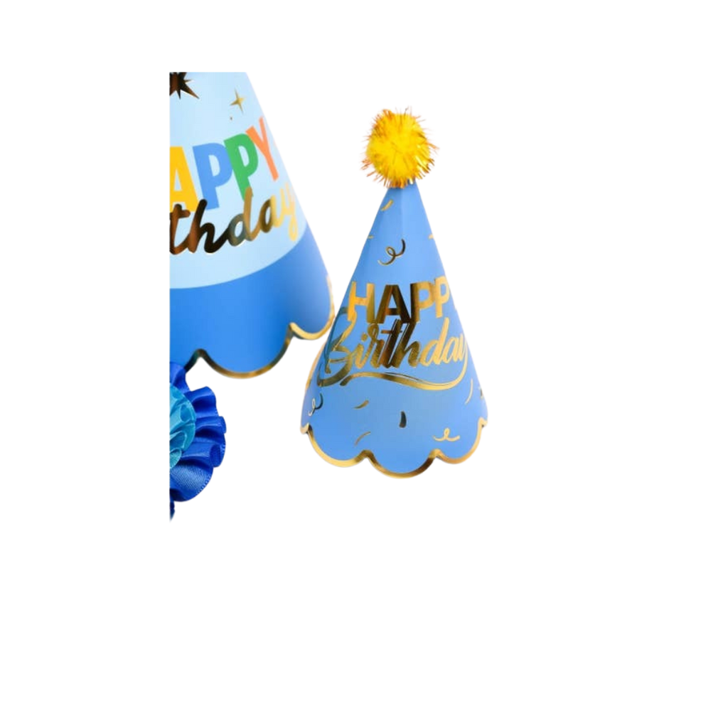 Blue and gold mini birthday hat with pompom for birthday theme from Parte Haus party supply store in Bethesda MD
