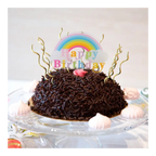 Chocolate birthday cake with rainbow topper for birthday celebration from Parte Haus party supply store in Bethesda Maryland