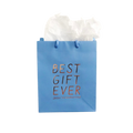 Blue gift bag with gold best gift ever text for birthday celebration from Parte Haus party supply store in Bethesda MD