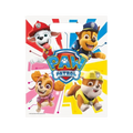 Multicolor Paw Patrol favor bag with four characters for kids birthday from Parte Haus party supply store in Bethesda Maryland