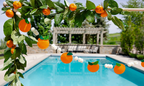 Orange Felt Orange Banner