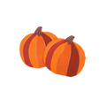 Orange pumpkin napkins shaped like pumpkins for fall and Thanksgiving from Parte Haus party supply store in Bethesda MD