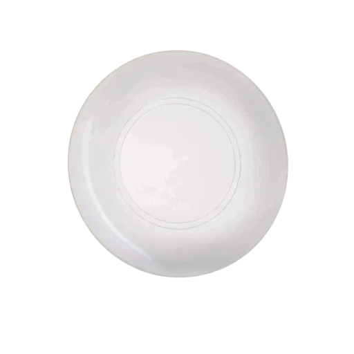 Clear and Gold Plastic Round Dinner Plates