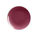Cranberry Red Gold  Plastic Plates - 2 Sizes