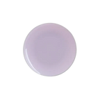 Lavender Silver Rimmed Reusable Plates - 2 Sizes