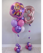 Paw Patrol Skye Balloon Bundle
