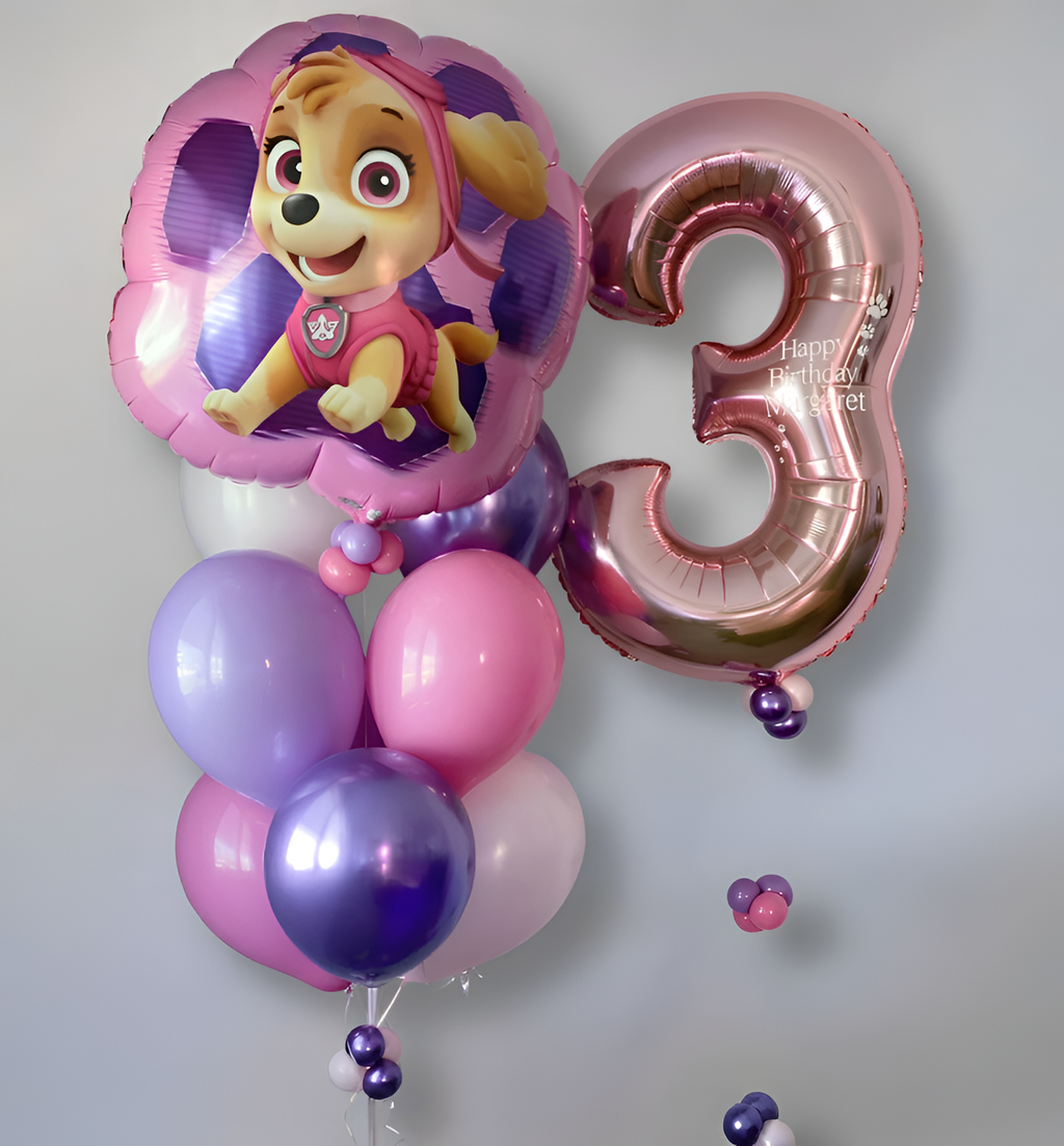 Paw Patrol Skye Balloon Bundle
