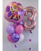 Paw Patrol Skye Balloon Bundle