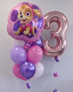 Paw Patrol Skye Balloon Bundle