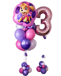 Paw Patrol Skye Balloon Bundle