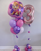 Paw Patrol Skye Balloon Bundle