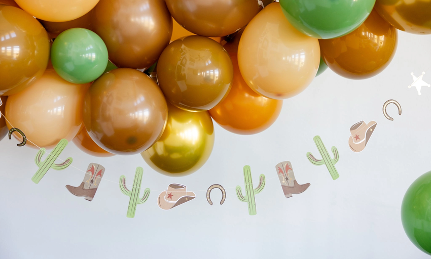 Multicolor Cowboy Icon Banner
