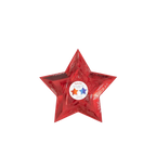 Blue and red foil star shaped paper plate with glossy finish for Fourth of July from Parte Haus party supply store in Bethesda Maryland