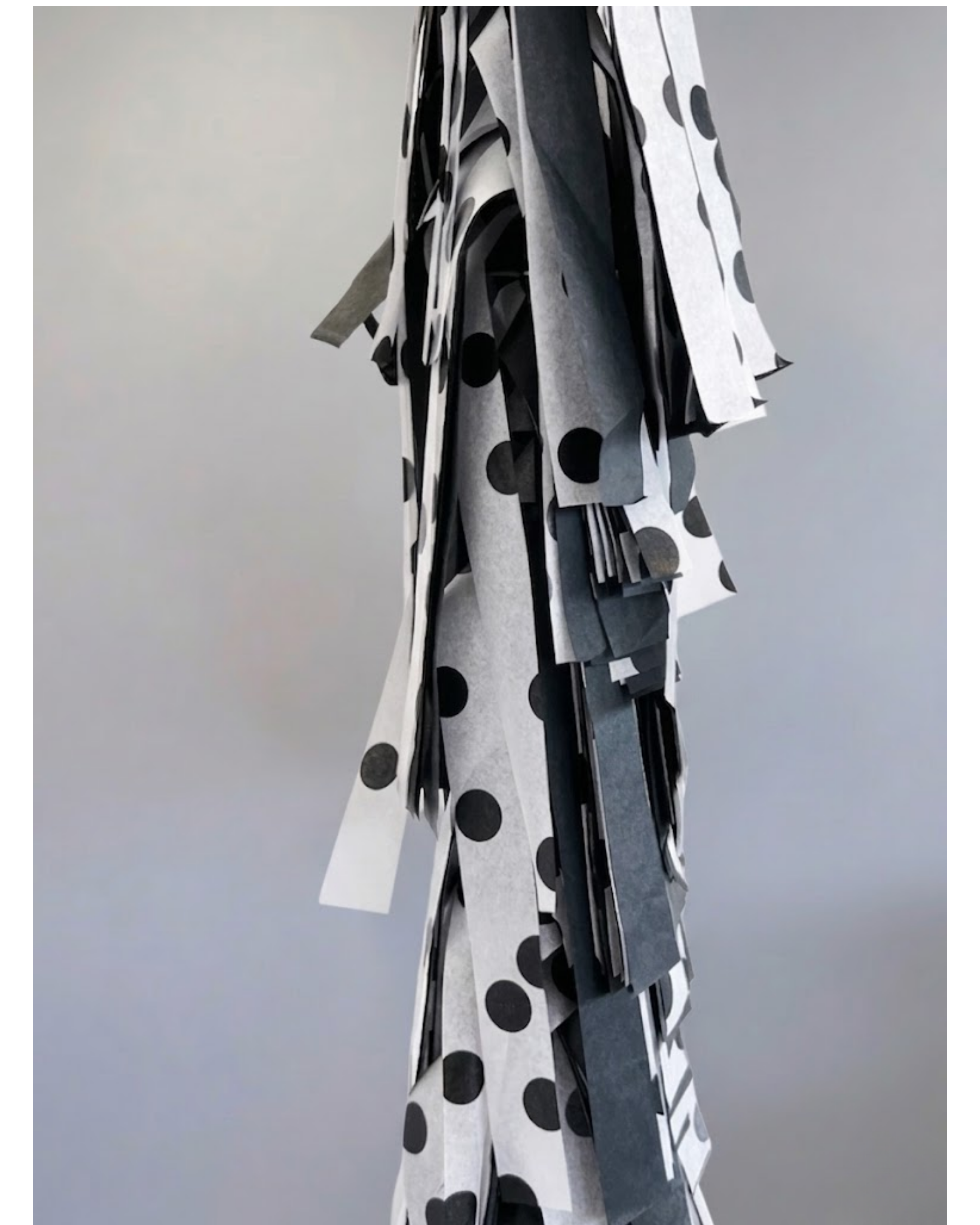 Polka Party Bundle