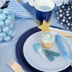 Pale blue large paper plates with sweets and cupcake for birthday party from Parte Haus party supply store in Bethesda MD