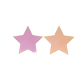 Pink and peach star shaped plate for birthday celebration from Parte Haus party supply store in Bethesda MD