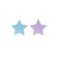 Pastel blue and purple star shaped large dinner plates for birthday from Parte Haus party supply store in Bethesda MD.