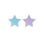 Pastel blue and purple star shaped large dinner plates for birthday from Parte Haus party supply store in Bethesda MD.