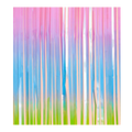 Pastel rainbow fringe curtain backdrop for birthday theme from Parte Haus party supply store in Bethesda Maryland