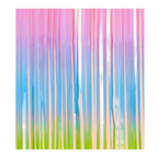 Pastel rainbow fringe curtain backdrop for birthday theme from Parte Haus party supply store in Bethesda Maryland