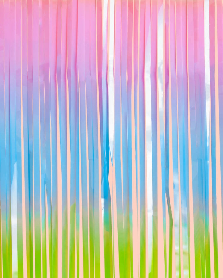 pastel rainbow fringe curtain with pink blue green vertical streamers birthday decor from Parte Haus party supply store in Bethesda Maryland