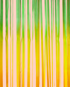 pastel rainbow curtain with green and yellow streamers birthday decor from Parte Haus party supply store in Bethesda MD