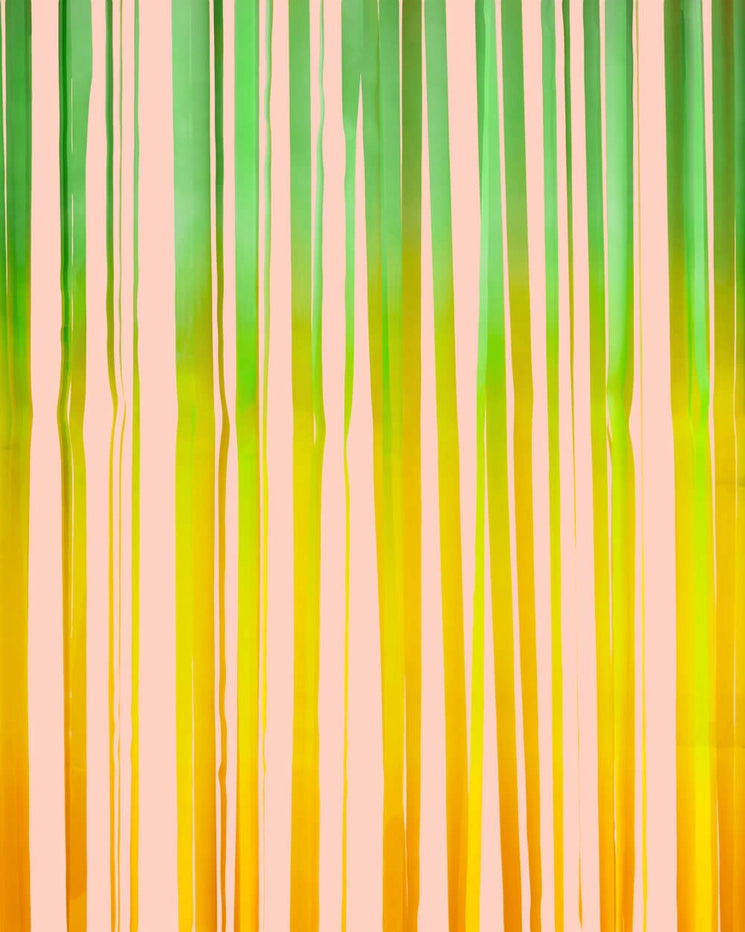 pastel rainbow curtain with green and yellow streamers birthday decor from Parte Haus party supply store in Bethesda MD