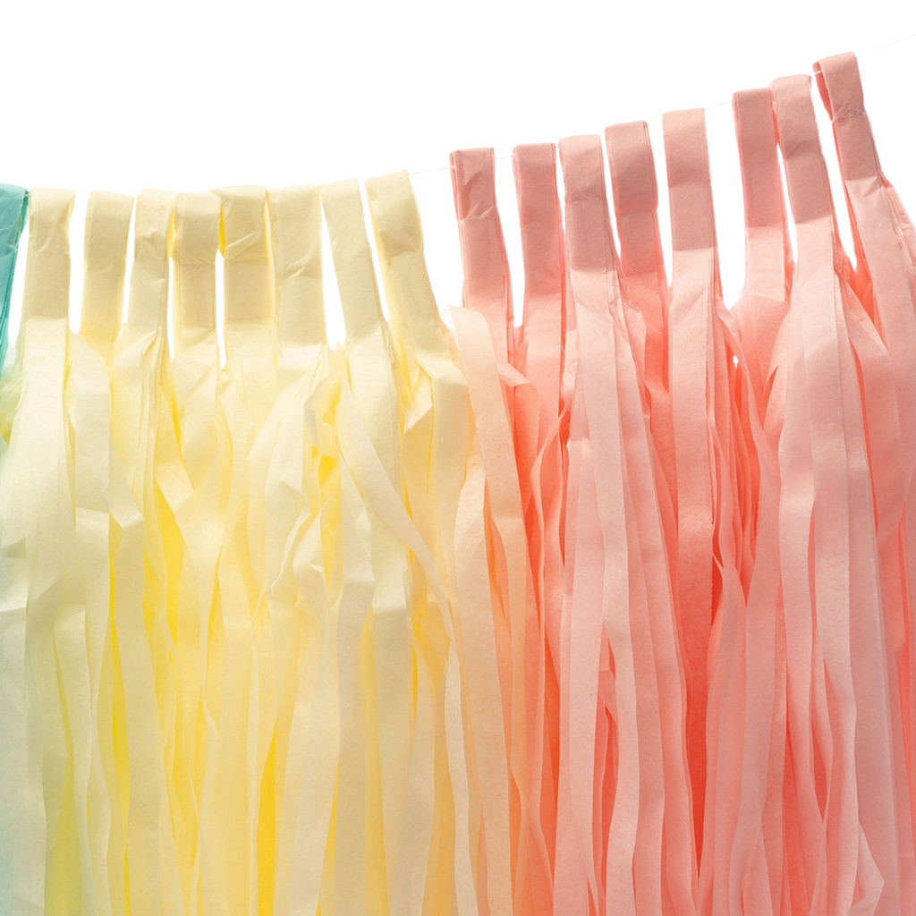 Pastel rainbow tassel garland with fringe detail for birthday celebration from Parte Haus party supply store in Bethesda Maryland