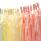 Pastel rainbow tassel garland with fringe detail for birthday celebration from Parte Haus party supply store in Bethesda Maryland