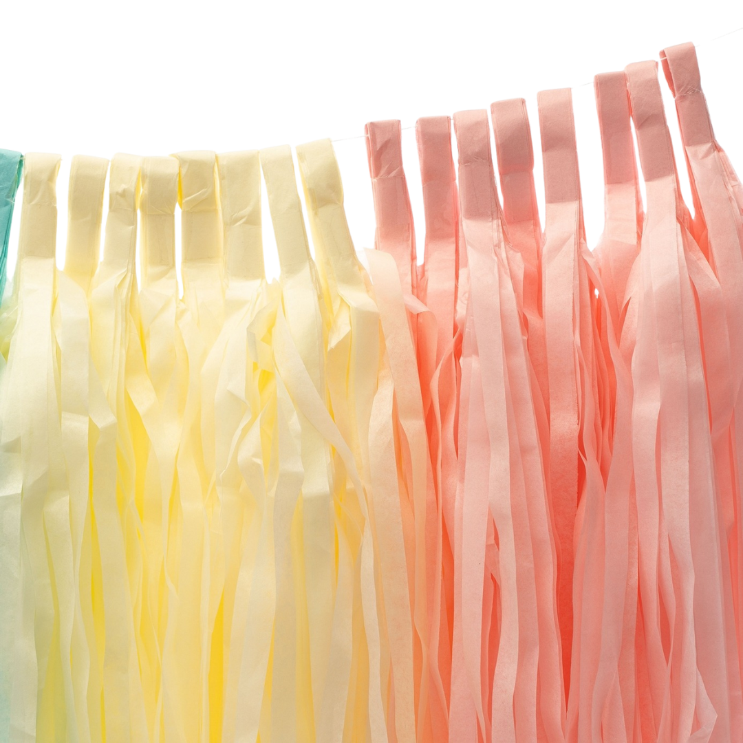 Pastel rainbow tassel garland with fringe detail for birthday celebration from Parte Haus party supply store in Bethesda Maryland