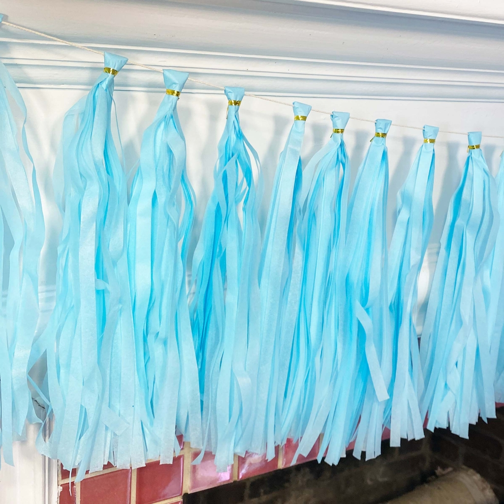 Pastel blue paper tassel tail garland hanging decor for birthday celebration from Parte Haus party supply store in Bethesda MD