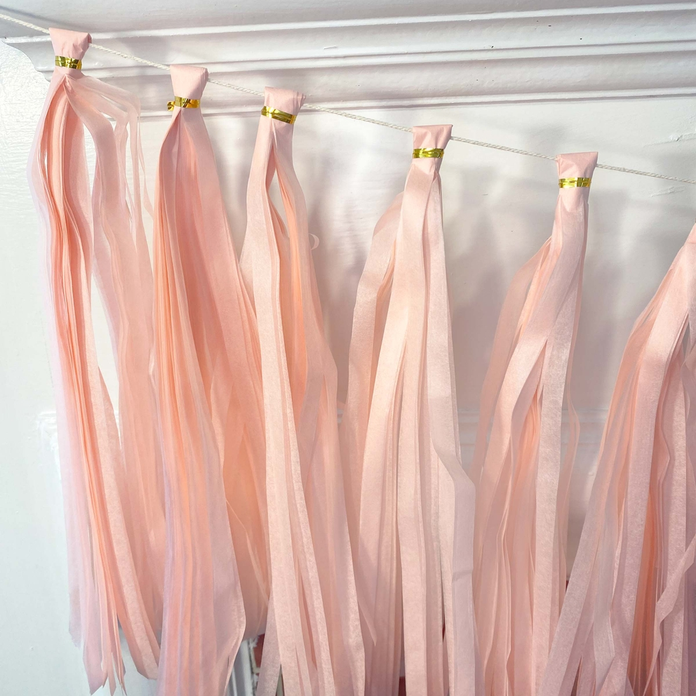 Pastel pink paper tassel tail garland with gold accents for birthday decor from Parte Haus party supply store in Bethesda MD