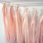 Pastel pink paper tassel tail garland with gold accents for birthday decor from Parte Haus party supply store in Bethesda MD