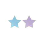 Blue and lavender star shaped plates for birthday theme from Parte Haus party supply store in Bethesda MD