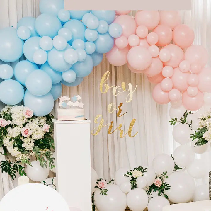 Blue pink and white balloon arch with boy or girl sign and flowers gender reveal from Parte Haus party supply store in Bethesda MD
