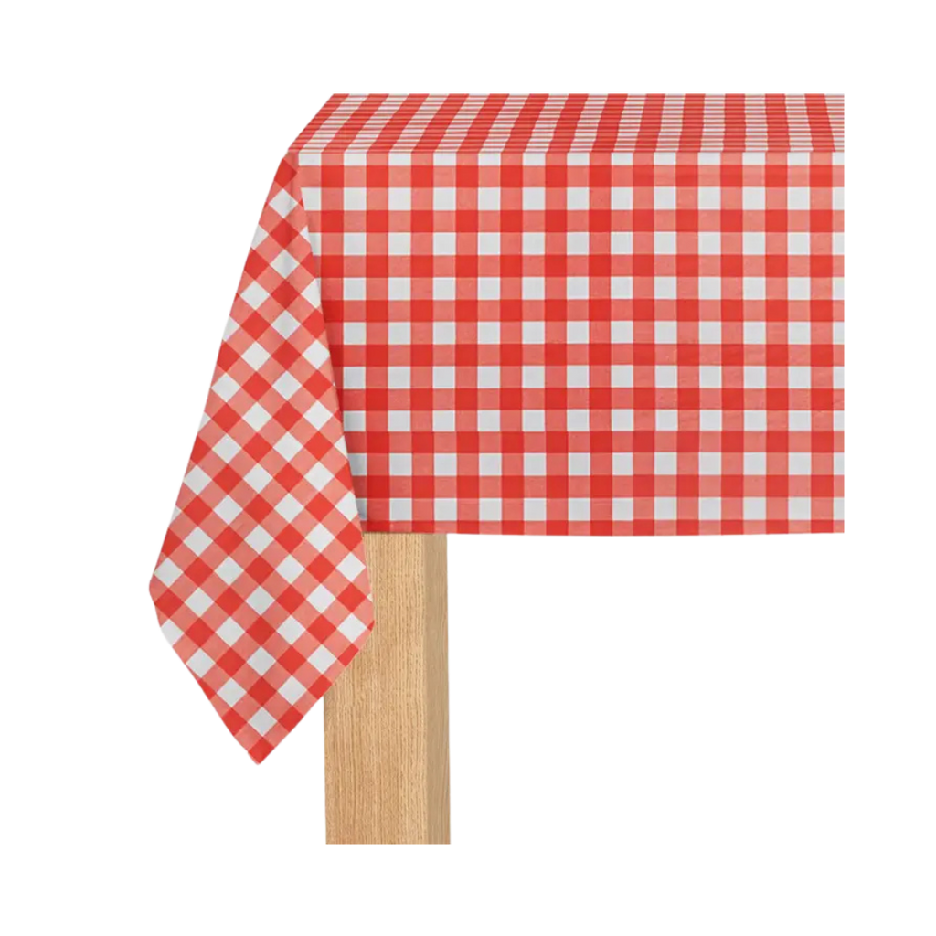 Red gingham paper tablecloth with checkered pattern picnic theme from Parte Haus party supply store in Bethesda MD