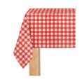 Red gingham paper tablecloth with checkered pattern picnic theme from Parte Haus party supply store in Bethesda MD
