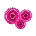Dark Pink Rosettes Backdrop Set