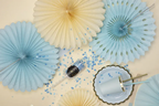 Light Blue Rosettes Backdrop Set